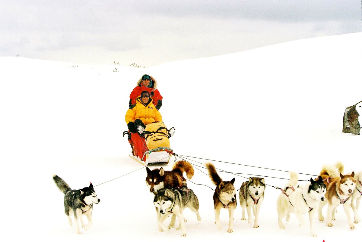 eight_below_02.jpg