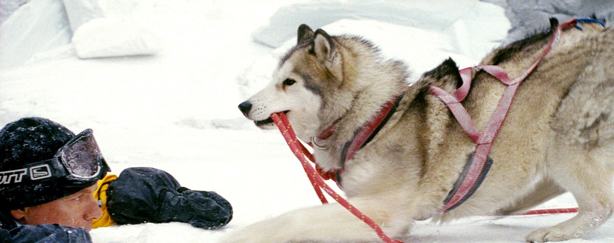 eight_below_04.jpg